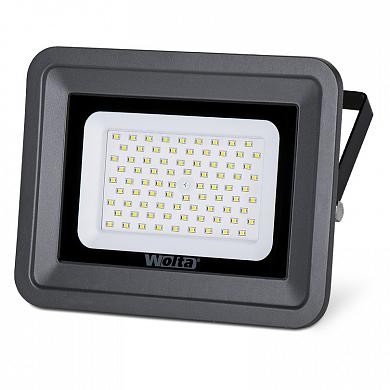   Wolta WFL-100W/06 5500K 100  SMD IP65 8500 